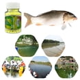 thumbnail image 2 of Cebo Pesca Carpa Flotadores Frijoles EPS 170 Piezas Artificial para, 2 of 8