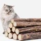 thumbnail image 4 of Juguetes para gatos, naturales, orgánicos, juguetes de hierba gatera, palitos, palitos de matatabi, palitos masticables para gatos, juguetes masticables para muelas de los dientes de gato, 4 of 7