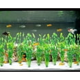 thumbnail image 4 of "Artificial Seaweed Water Plants for Aquarium, Plastic Fish Tank Plant Decorations, 12 Inches Tall, Green, 4 of 4