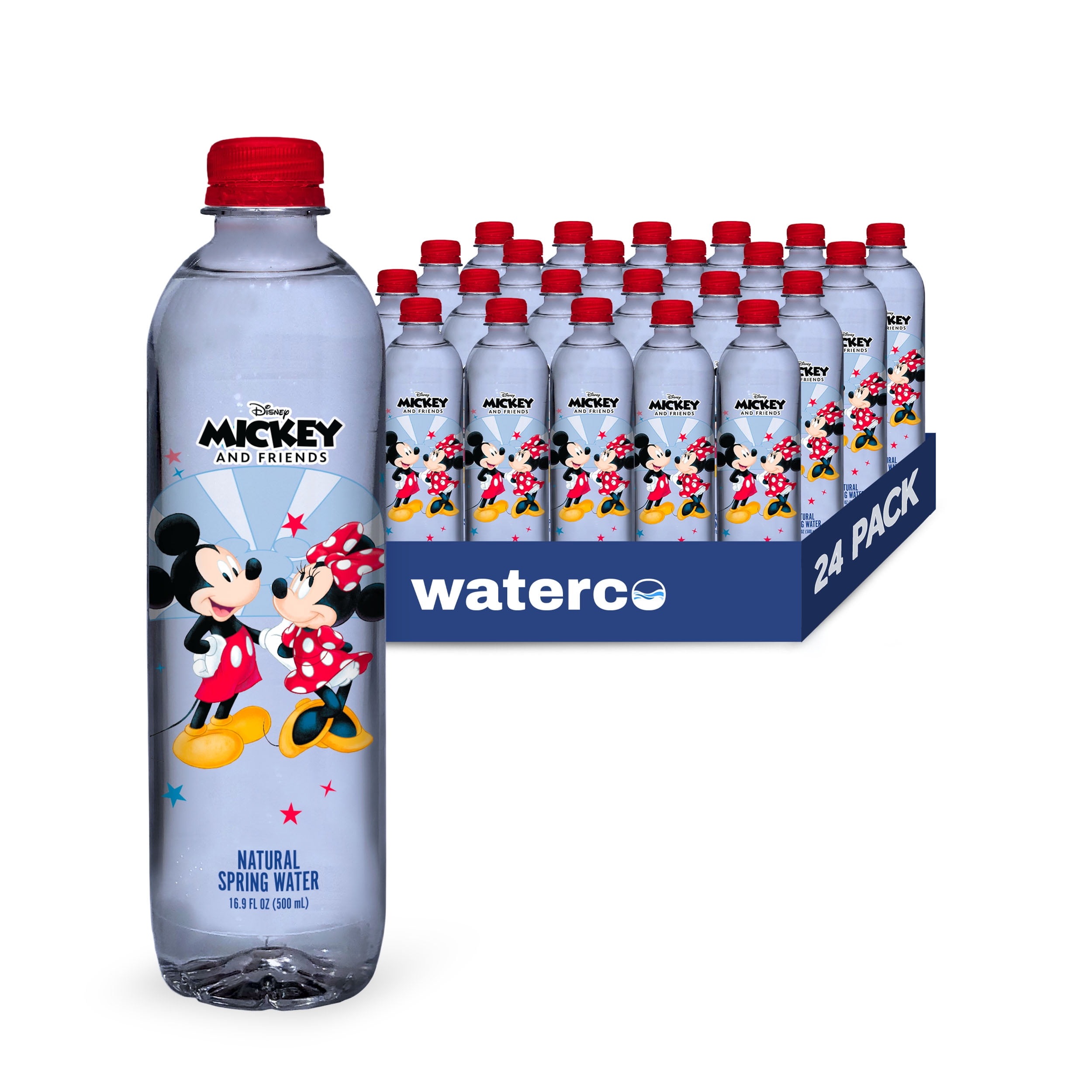 Minnie Mouse Expressions 24oz Water Bottle