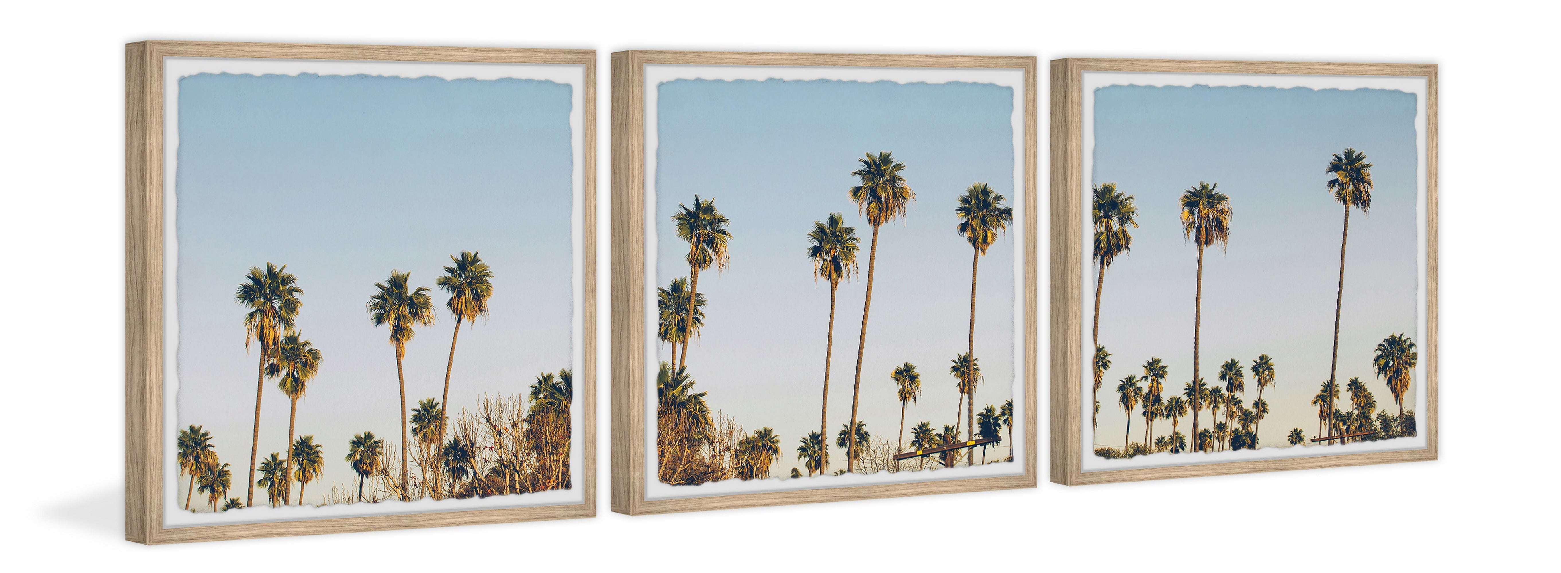 Marmont Hill Palms Sunrise Triptych