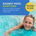 thumbnail image 2 of Desinfectante para piscinas FROG Flippin' FROG XL para 5000-10000 galones, 2 of 7