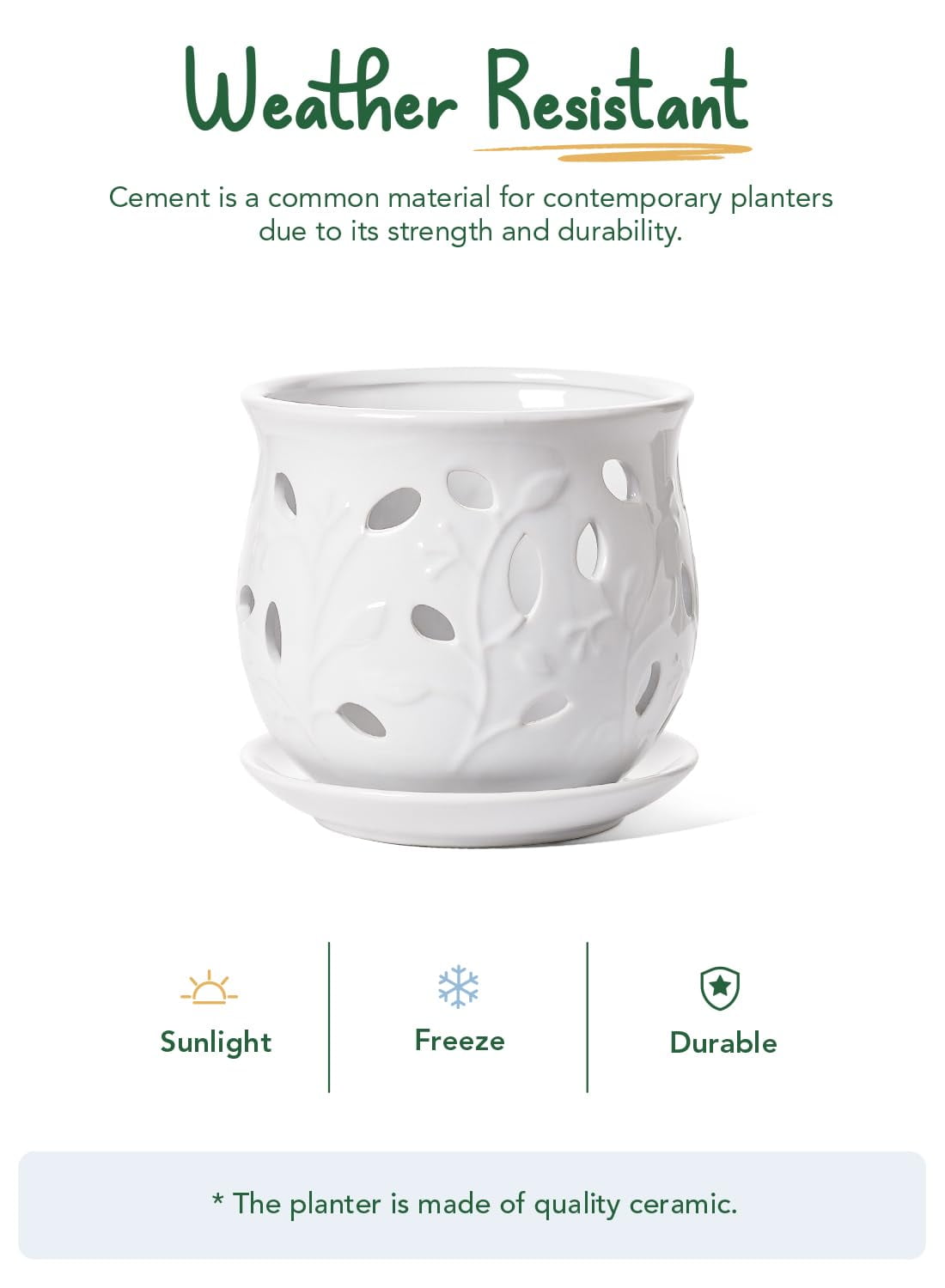 LE TAUCI Orchid Pot, 6.5 Inch Ceramic Planter with Drainage Hole and Saucer, White Indoor Plant Pot for Repotting(Plant not included)