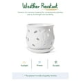thumbnail image 5 of LE TAUCI Orchid Pot, 6.5 Inch Ceramic Planter with Drainage Hole and Saucer, White Indoor Plant Pot for Repotting(Plant not included), 5 of 8