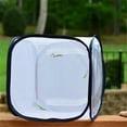 thumbnail image 4 of Butterfly Habitat Insect Cage Mesh Butterfly Cages Pop-up Collapsible Insect Mesh Cage Plant Greenhouse Box Plant Net Cloth, 4 of 8