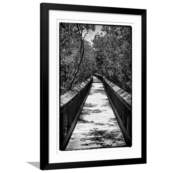 Art.com Wooden Path in the middle of a Forest in Florida Photographic Print by Philippe Hugonnard, Black Frame Wall Art, 32" x 44"