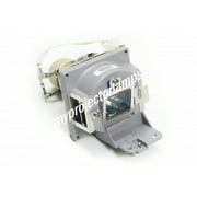 Viewsonic RLC-098 Projector Lamp with Module