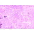 thumbnail image 1 of Ahgly Company Indoor Rectangle Abstract Pink Modern Area Rugs, 7' x 10', 1 of 4