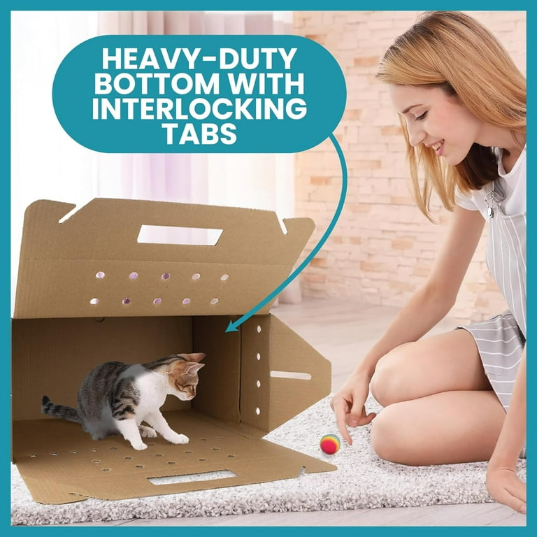 Oasis Small Disposable Cardboard Pet Cat Carrier, 18