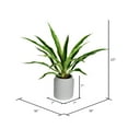 thumbnail image 2 of Vickerman 23" Artificial Potted Yucca Plant in Classic White Ceramic Pot., 2 of 3