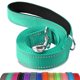 thumbnail image 1 of Correa para perros Joytale de doble cara, nailon reflectante, color verde azulado, 6 pies, 1 of 6