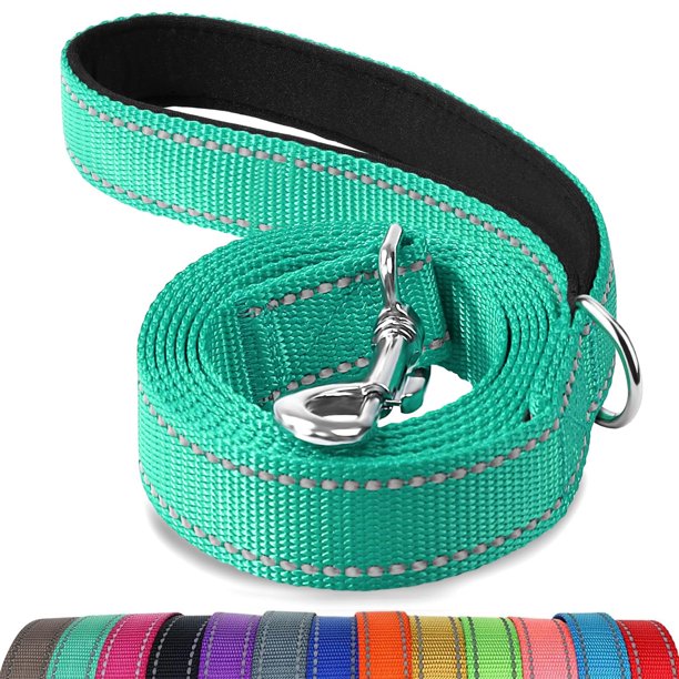 Correa para perros Joytale de doble cara, nailon reflectante, color verde azulado, 6 pies