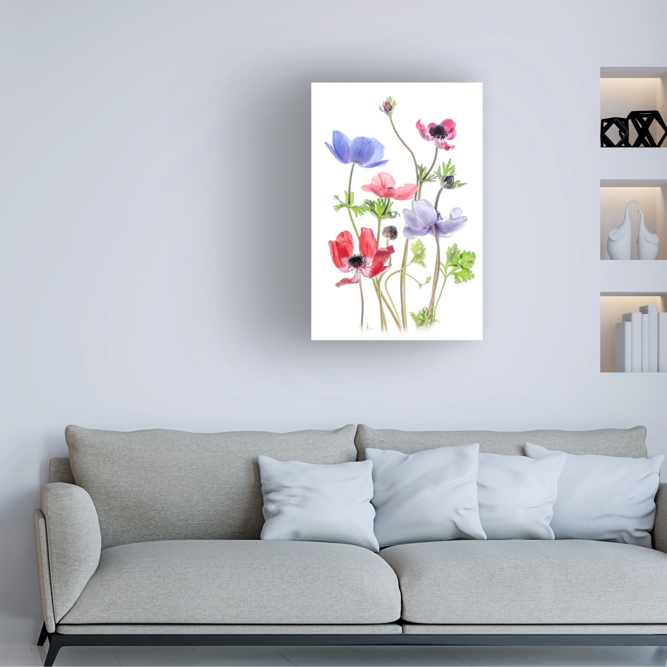 Canvas Wall Art - Mandy Disher 'Anemone De Caen' Wall Art for Living Room, Bedroom, or Office Décor by Trademark Fine Art - 12 x 19 Inches