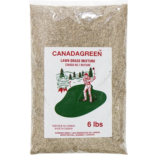 Canada Green Grass Lawn Seed 6 Pound Bag