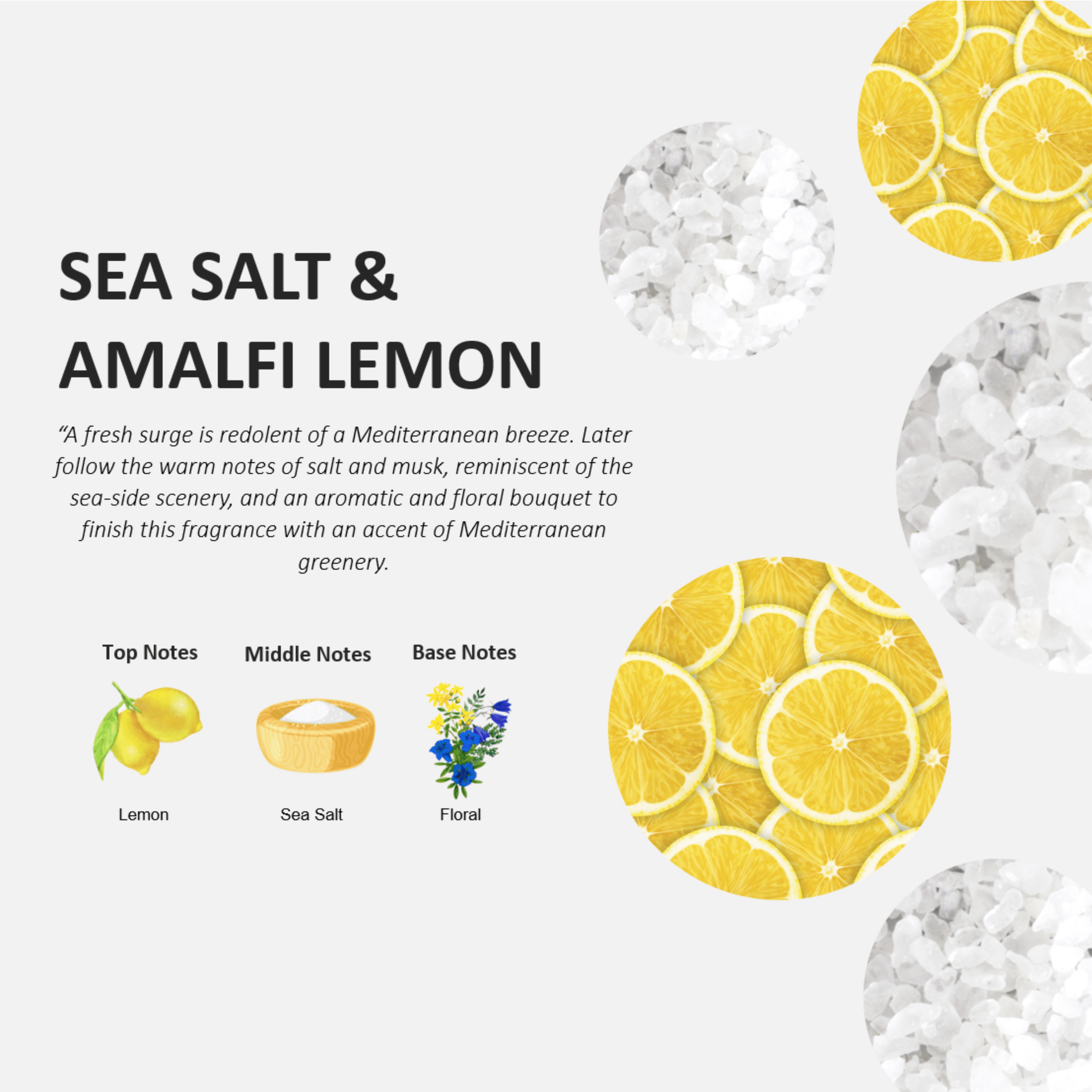 Cucina Sea Salt and Amalfi Lemon 16.9 oz Hand Soap