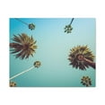 thumbnail image 4 of Los Angeles Palm Trees Modern Multicolor Scenic Nature Photography Canvas Home Office Decor Ready to Hang, 4 of 18