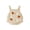 Apricot, variant on RUINIXCW Newborn Baby Girl Halloween Outfit Infant Baby Girl Fall Knit Sweater Romper Overalls Sleeveless Pumpkin Flower Knit Romper Bodysuit Playsuit