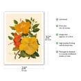 thumbnail image 2 of Hawaiian Hibiscus - Honolulu Hawaii USA - Vintage Botanical Illustration by Dorothy Falcon Platt c.1950 - Fine Art Matte Paper Print (Unframed) 24x32in, 2 of 4