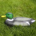 thumbnail image 2 of Realistic Mallard Duck Models That Hunting Enthusiasts Love as decoys and Ornaments, 2 of 10
