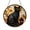 Acrylic 3.5 Inch, variant on Fantasy Black Cat Window Hanging Stained Glass Suncatcher Mystical Home Decoration