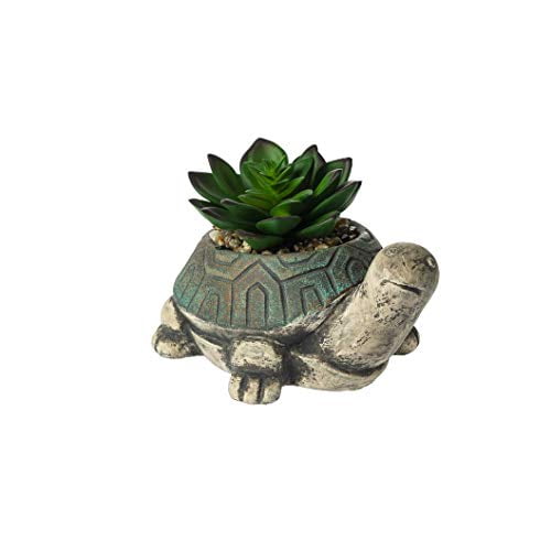 6-inch Width Ganz ER69608 Turtle Figurine with Succulent 