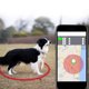 thumbnail image 4 of Greeniant Smart Pet Alarma Localizador electrónico Dispositivo de seguimiento Posicionamiento Sports Choke Chain Locator para perros de edad Suministros para perros Oro, 4 of 6