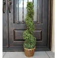thumbnail image 2 of Admired by Nature 3' Artificial Boxwood Leave Topiary in  Basket, Set of 2, 2 of 3