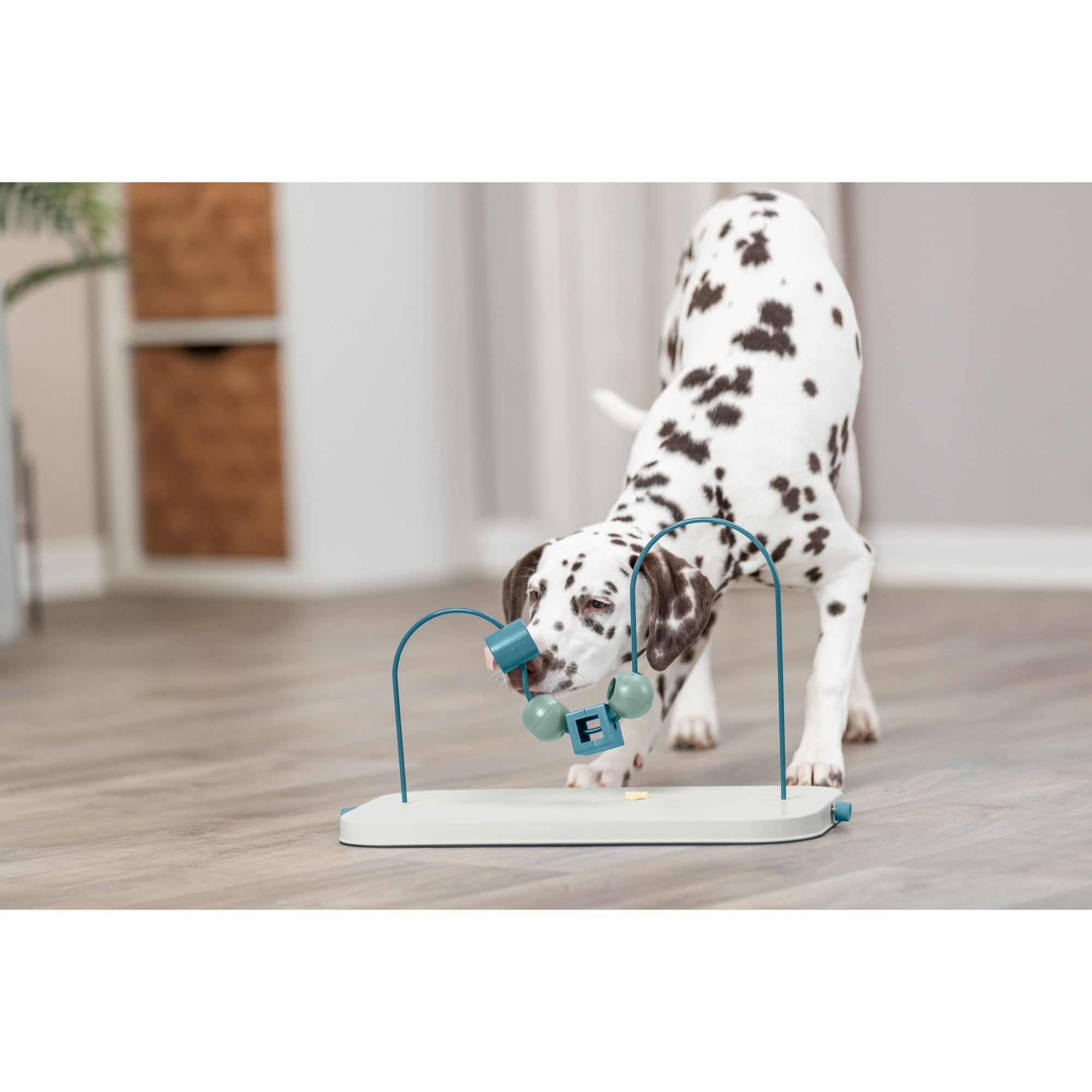 TRIXIE Dog Activity Skills Loop Strategy Game, Level 4 Advanced Food Puzzle for Smart Dogs