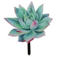 thumbnail image 4 of AURARMLET 1Set Outdoor Ornaments for Yard Acrylic Succulent Shape Garden Stake Decorative, 4 of 8