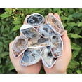 thumbnail image 2 of Large Oco Agate Geodes, Natural Crystal Druzy Halves, Bulk Wholesale Lots!, 2 of 8