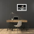 thumbnail image 3 of Hillert, Peter 24x17 White Modern Wood Framed Museum Art Print Titled - Sprattin one, 3 of 4
