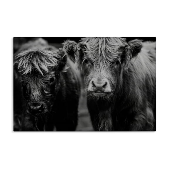 Cow Faces on Farm Canvas Wall Art, design by Amy Carroll