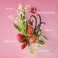thumbnail image 4 of Bruma para cabello y cuerpo Lake & Skye 555 Strawberry + Aire 100 ml, 4 of 7