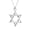 Silver-Tone, variant on Bling Jewelry Womens Classic Judaica Hanukkah Star of David Pendant Necklace Sterling Silver