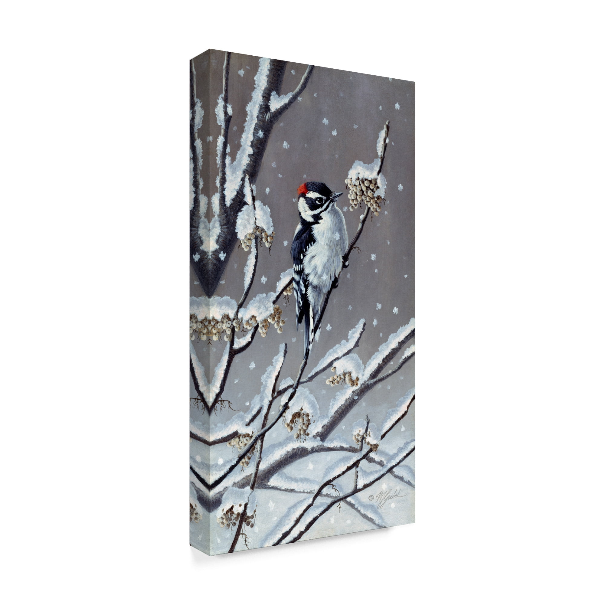 Trademark Fine Art 'Winter Berries' Canvas Art by Wilhelm Goebel