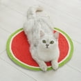 thumbnail image 6 of Reheyre Cat Scratching Pad Watermelon Carrot Shape Grinding Claws Adorable Sisal Kitten Fruit Scratcher Mat Cats Supplies, 6 of 8