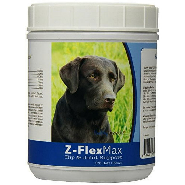 Labrador joint supplement top