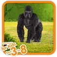thumbnail image 2 of Figurine Animal Schleich Life Wild Juguetes de animales Gorila Masculino, 2 of 2