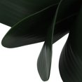 thumbnail image 5 of Rama de orquídea Phalaenopsis con hojas y tallos para decoración del hogar y la oficina (verde), 5 of 5