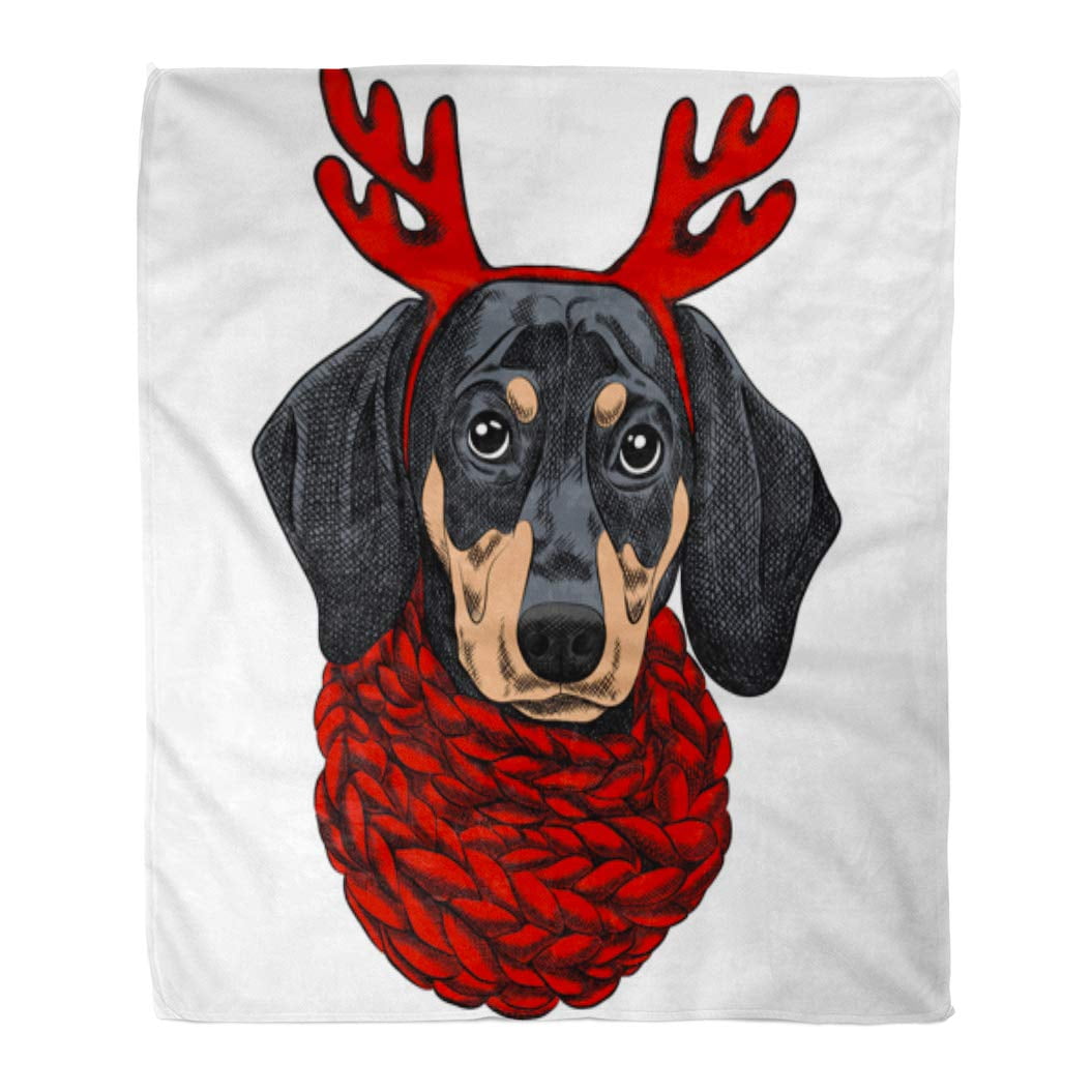 Dog scent blanket sale