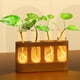 thumbnail image 2 of Estación de Propagación de Plantas con Luces LED Ajustables de 9 Velocidades, Terrario con Soporte de Madera y 4 Tubos de Ensayo., 2 of 5