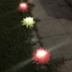 thumbnail image 5 of Solar Crisantemo Tierra Jardín Al Aire Libre () Rosa, 5 of 8
