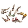 thumbnail image 4 of 12Pcs Simulation Foam Bird Artificial Bird Decor with Clip Fixing Home Garden Plant Decoration, 4 of 6
