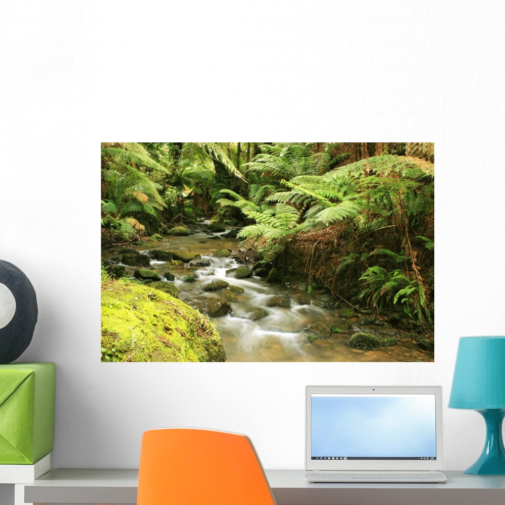 Rainforest River Wall Mural by Wallmonkeys Peel and Stick Graphic (24 ...