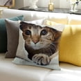 thumbnail image 3 of BANET Short Plush Square Decorative Throw Pillow Case Sofa Waist 20x20in, 3 of 5