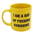 thumbnail image 4 of Rayon de F****** Mug 22 Onces de Soleil, 4 of 4