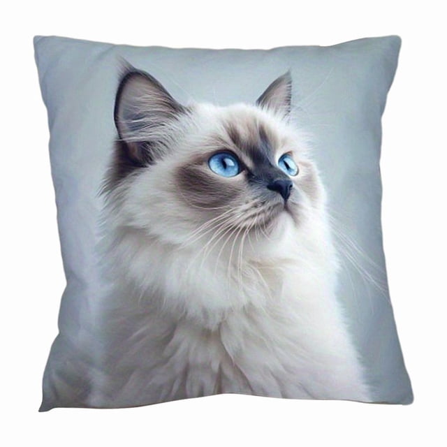 Housse de Coussin pour Chat, Imprimé Numérique, Ultra-Doux, Housse de Coussin Décorative pour Canapé à Domicile