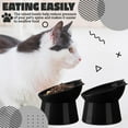thumbnail image 3 of Zhehao 2 Pieces Plastic Raised Bowl Tilted 15 Degrees Elevated Cat Food and Water Bowls Set Anti Vomit Dog Kitten Food Dishes Pet for Cats and Small Dogs (Black), 3 of 12