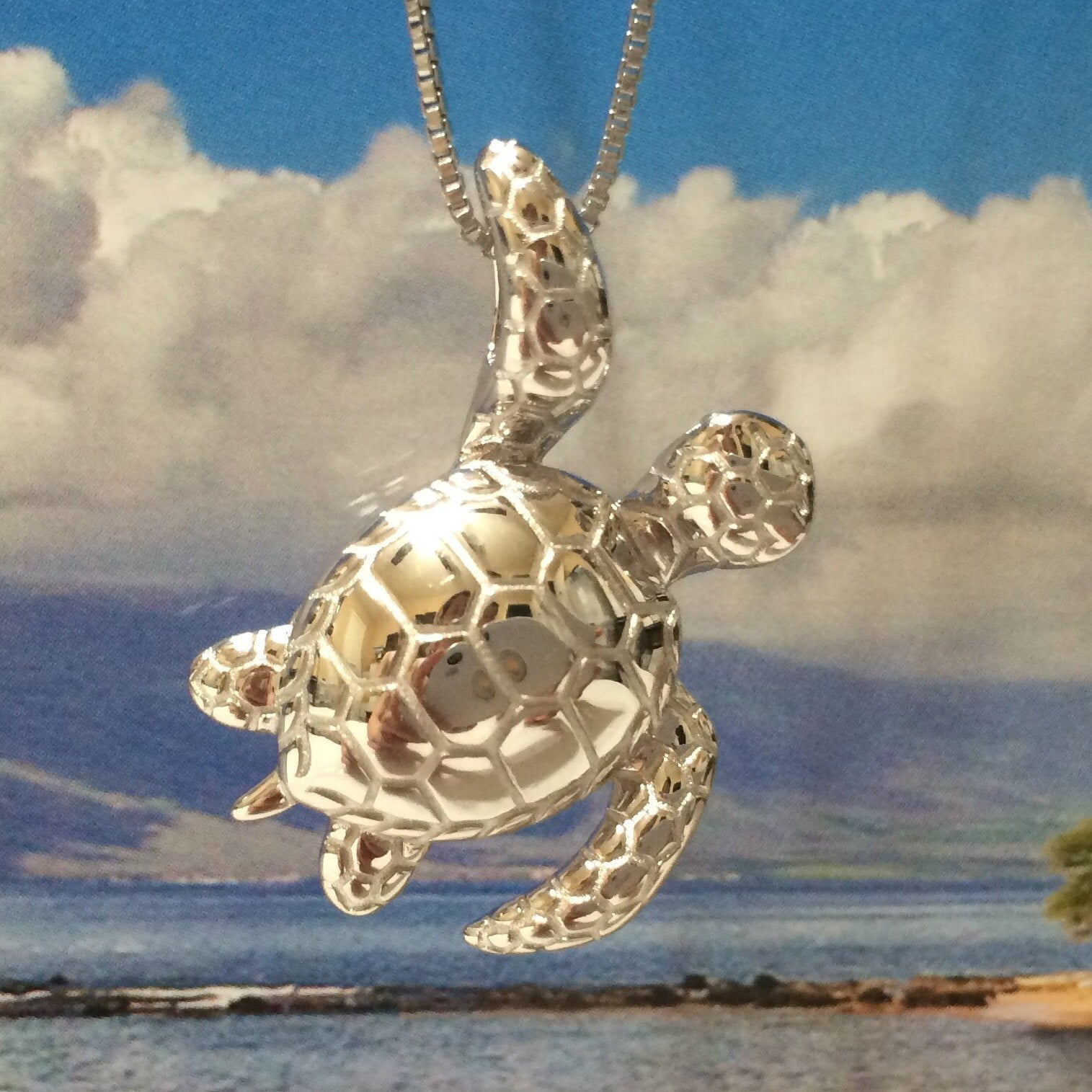 Silver Turtle Necklace | Asimi Charity Jewellery