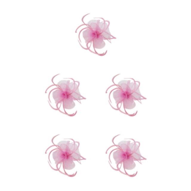 QualitChoice Maille Fascinator Femmes Coiffure Photographie Accessoires Prom Maquillage Performance Réglable Cosplay Partie Couvre-Chef Rose 5PCS